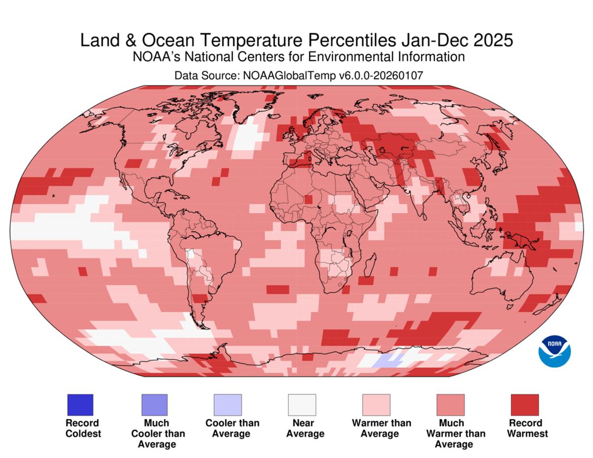 Global map showing land and ocean temperature percentiles for 2025, indicating widespread above-average warming across most continents.