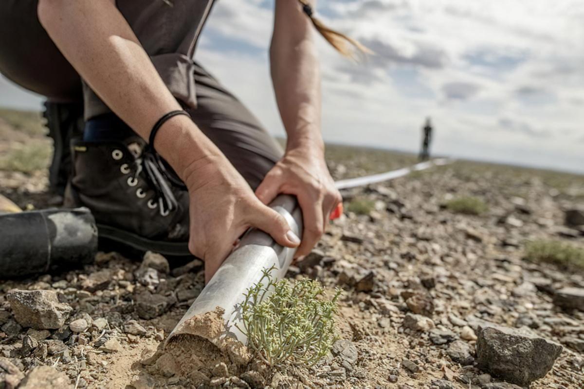 Toby Kiers taking soil samples at Gobi desert, Mongolia. July 2024.