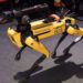 New York Police Get Rid of Robot Dog