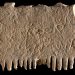 Ancient Comb Has Writing in World's First Alphabet